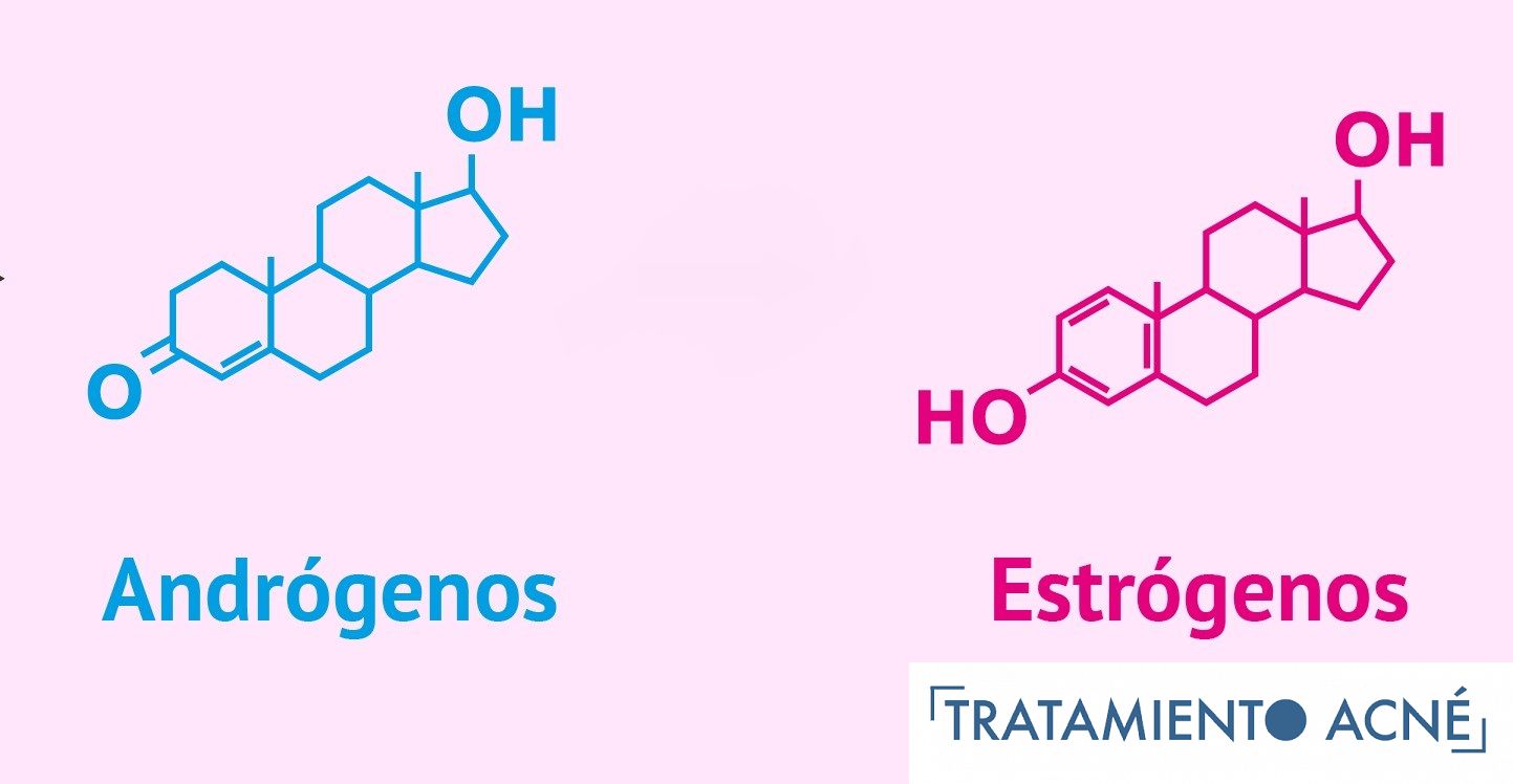Estrogenos y Androgenos